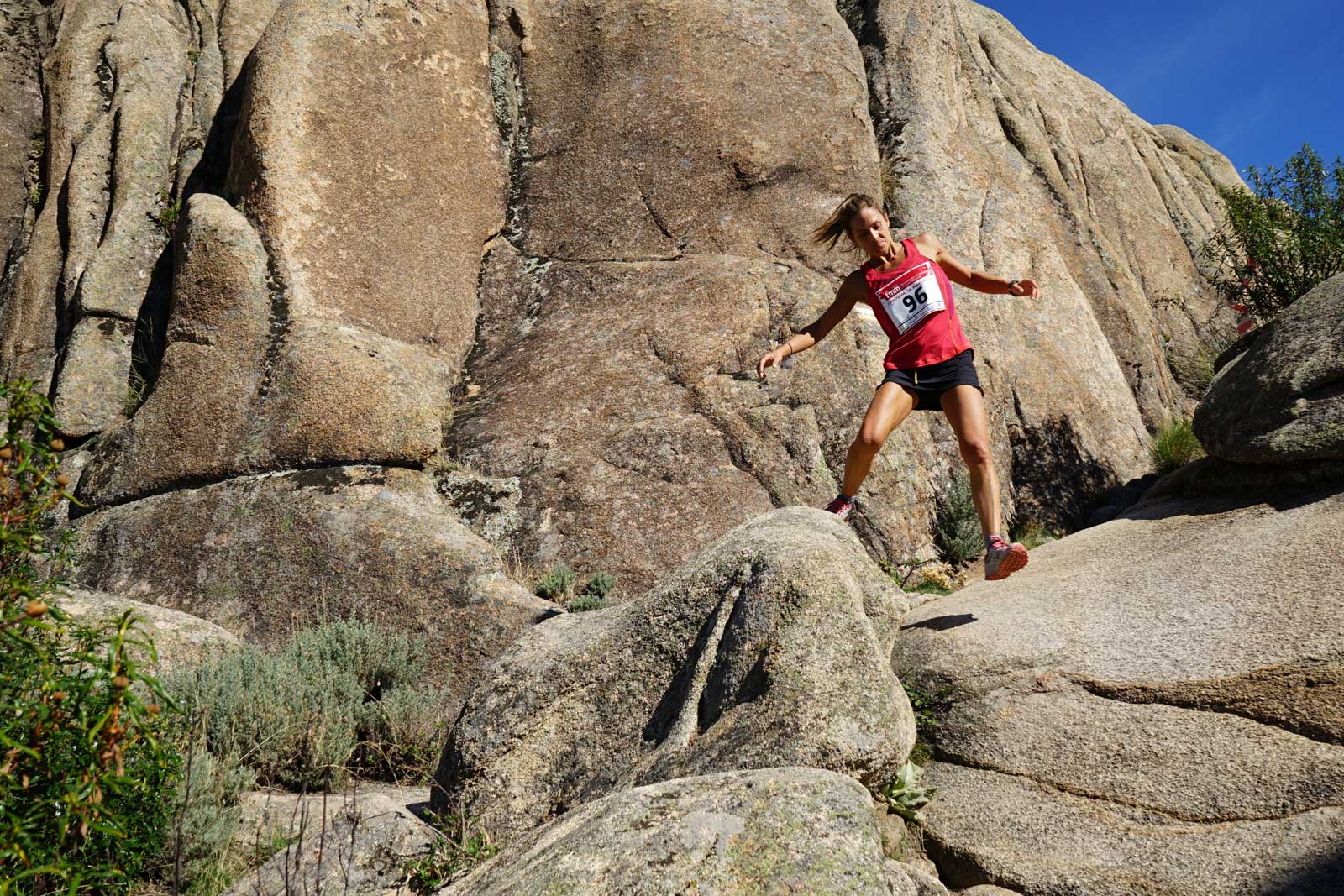 Campeonato Carrera en Línea